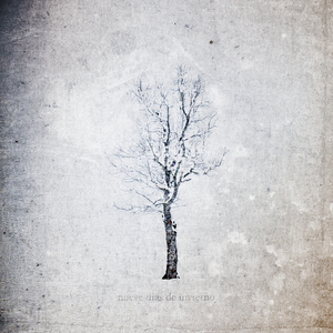 双飞两女视频一区二区
